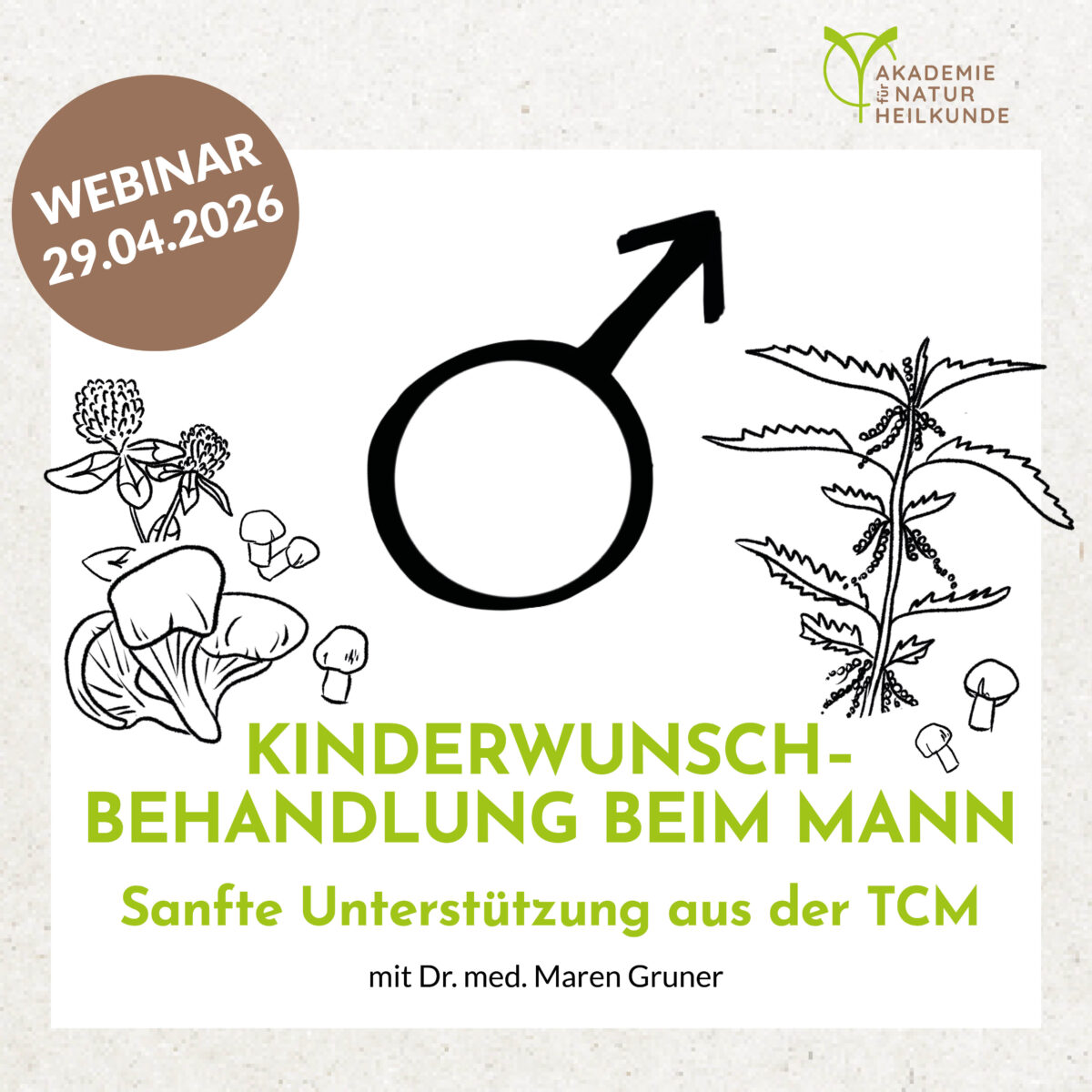 Kinderwunschbehandlung beim Mann - Sanfte Unterstützung aus der TCM