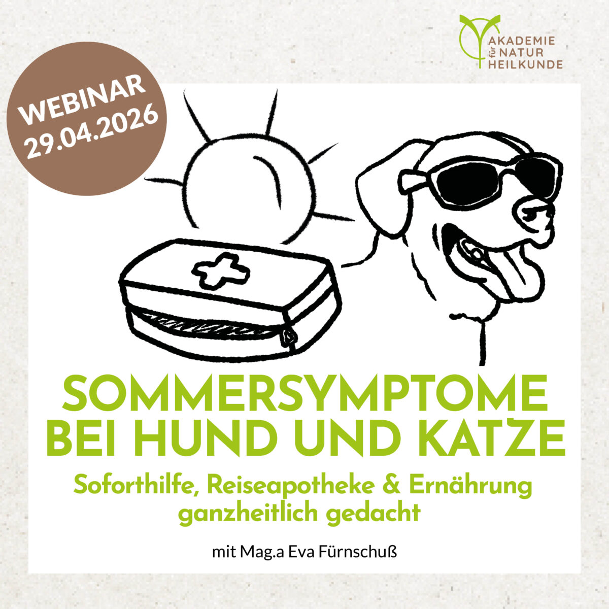 Sommersymptome bei Hund und Katze – Soforthilfe, Reiseapotheke & Ernährung ganzheitlich gedacht