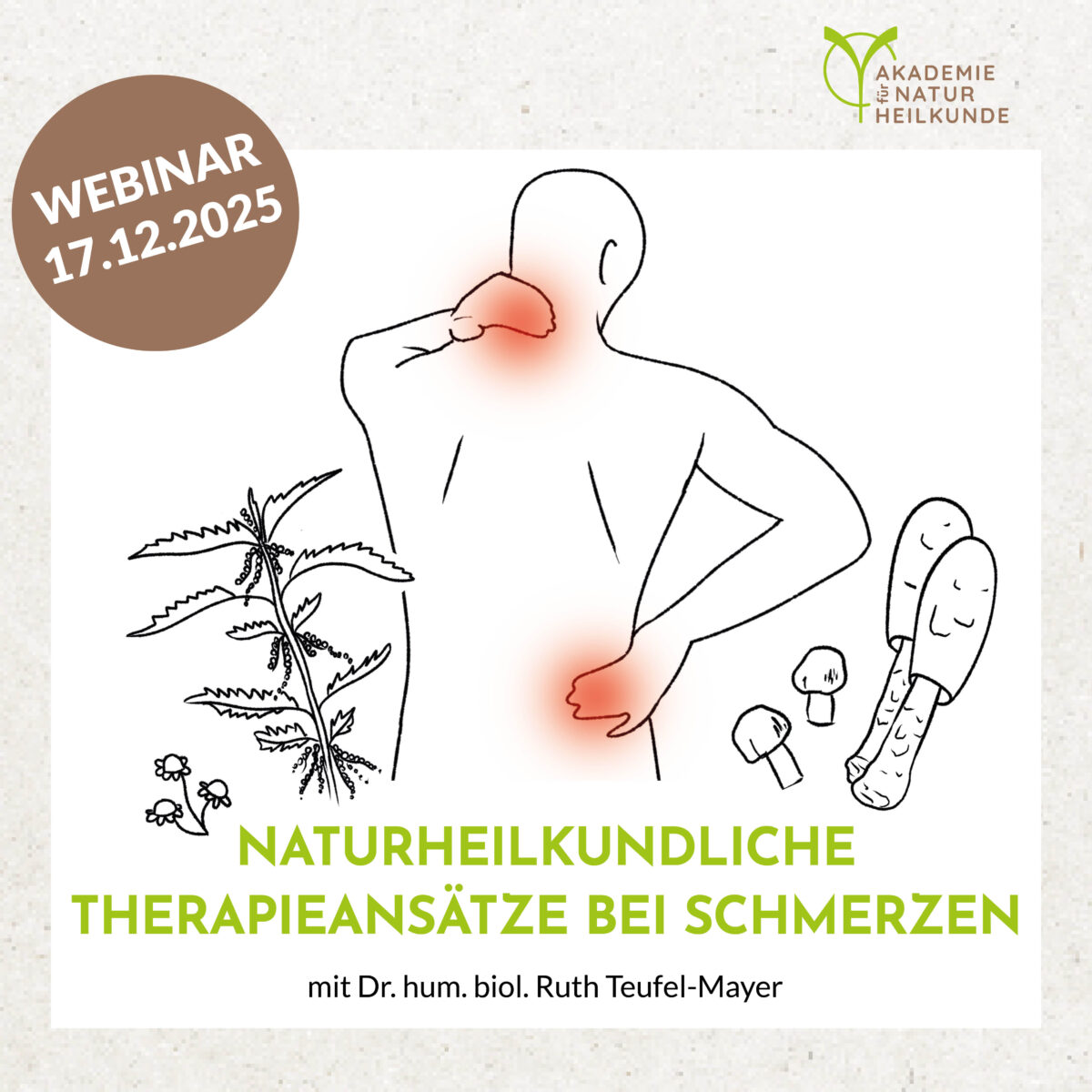 Naturheilkundliche Therapieansätze bei Schmerzen