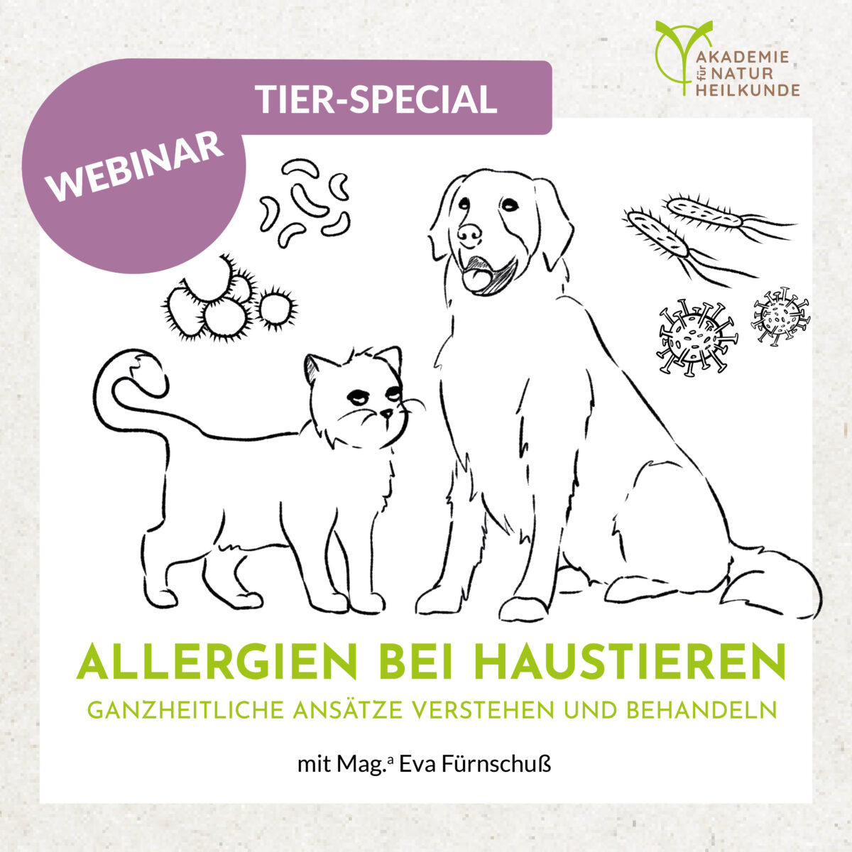 Tier-Special: Allergien bei Haustieren – Ganzheitliche Ansätze verstehen und behandeln