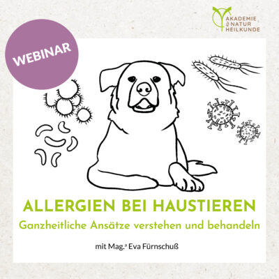Allergien bei Haustieren – Ganzheitliche Ansätze verstehen und behandeln