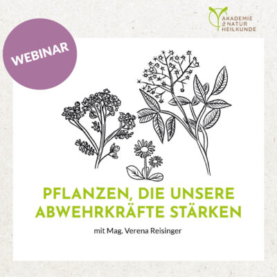 Pflanzen, die unsere Abwehrkräfte stärken