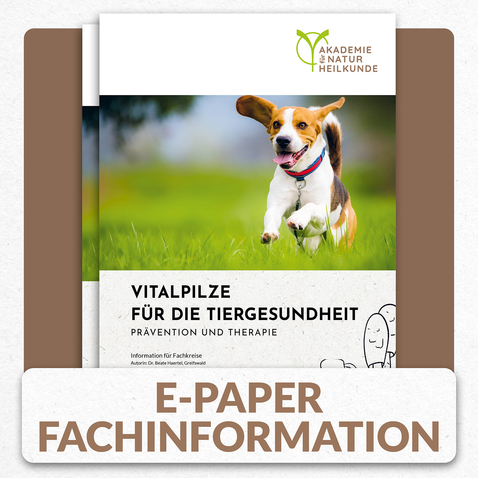 Vitalpilze für die Tiergesundheit
