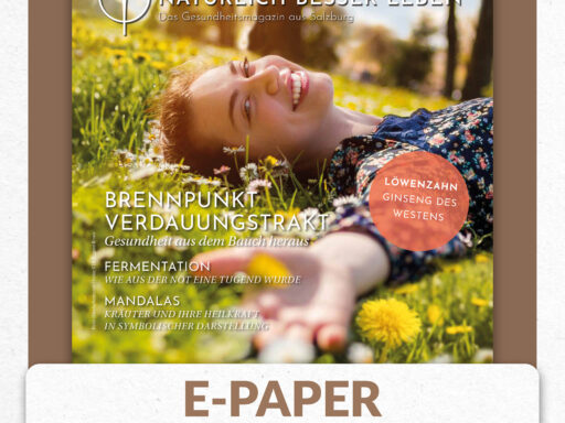 NBL Sommer 2024 | E-Paper