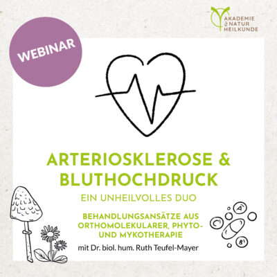 Arteriosklerose & Bluthochdruck – ein unheilvolles Duo