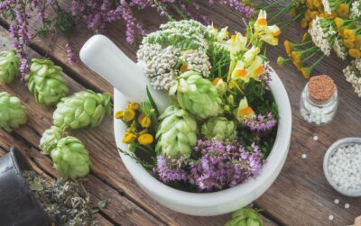 Bildungsabo ALL-IN (Mitarbeiter Package)