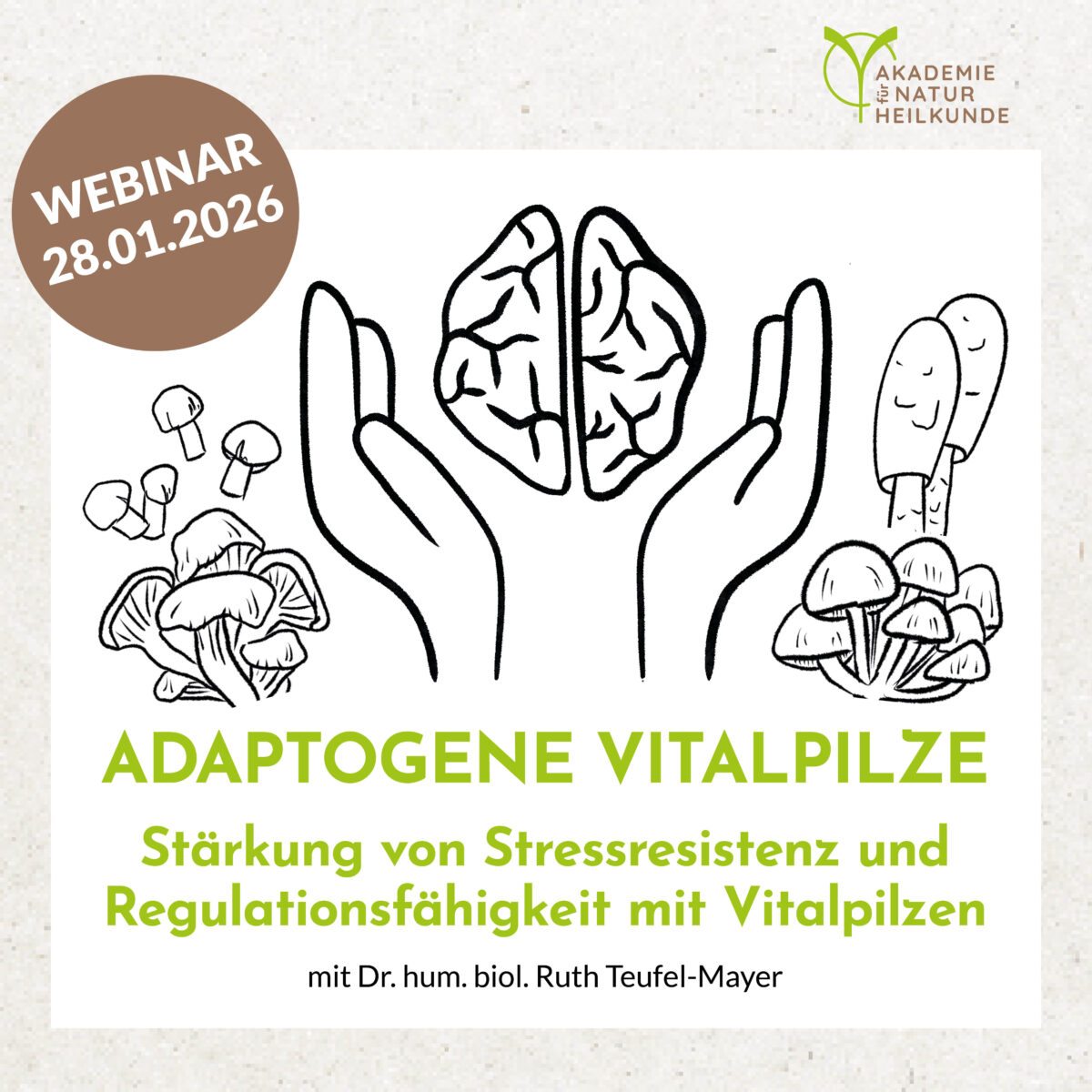 Adaptogene Vitalpilze - Stärkung von Stressresistenz und Regulationsfähigkeit mit Vitalpilzen