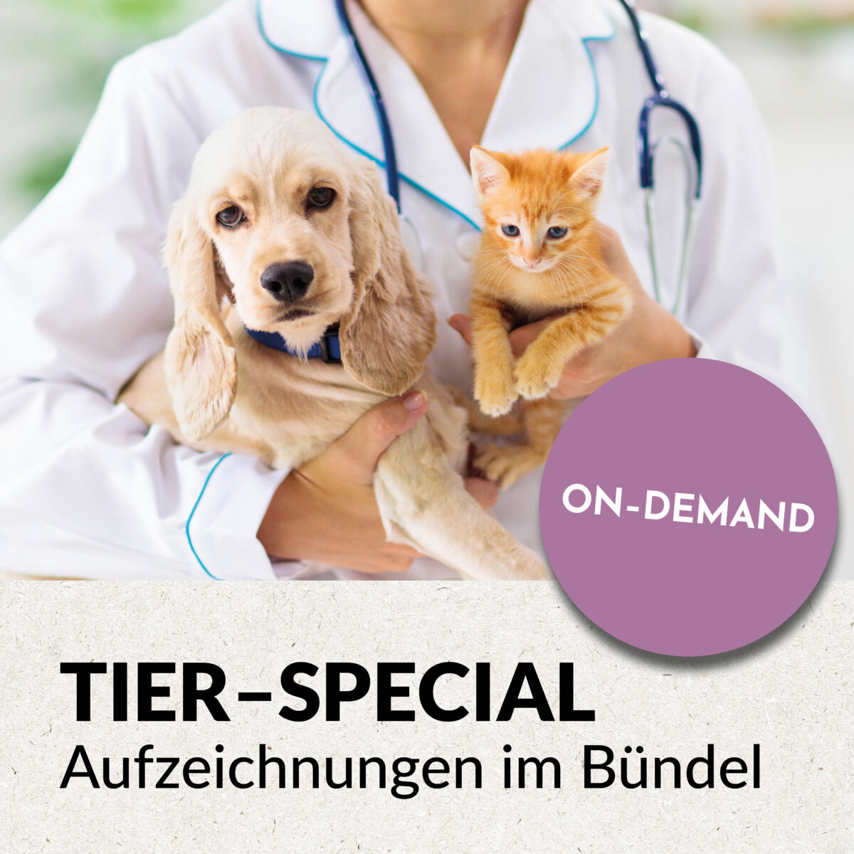 Tier-Special Bündel