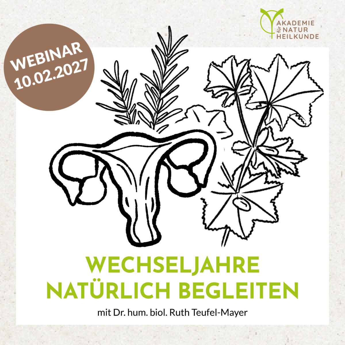 Wechseljahre natürlich begleiten - Ein Therapie-Baukasten für die Praxis