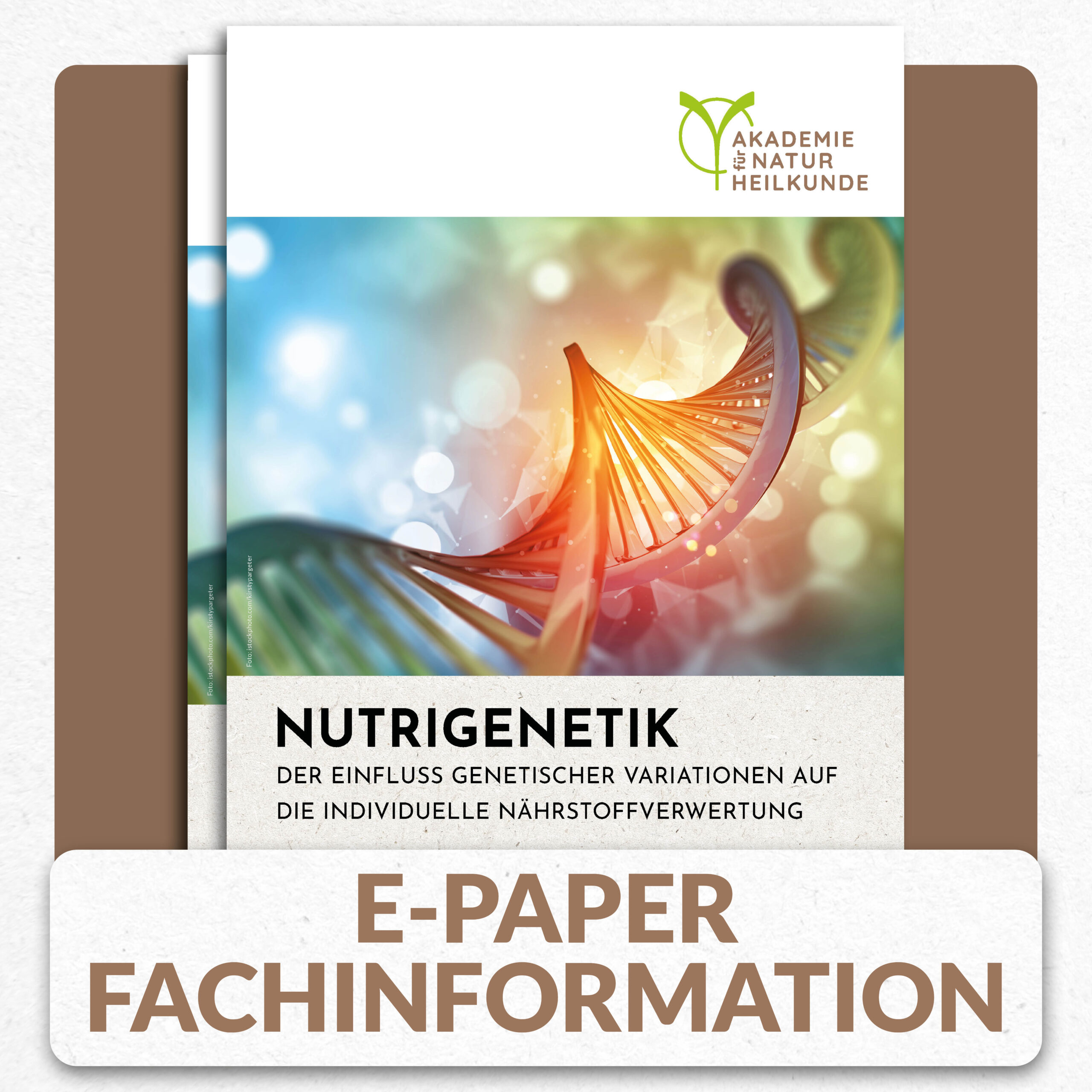 Nutrigenetik - Der Einfluss genetischer Variationen auf die individuelle Nährstoffverwertung